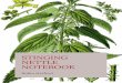 Stinging Nettle Notebook · Nettle’s long relationship with human culture has led to a number of different applications. Some stranger than others. It is said that nettle drives