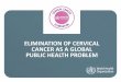 ELIMINATION OF CERVICAL CANCER AS A GLOBAL PUBLIC …women4gf.org/wp-content/uploads/2019/05/2.-WHO... · VISION: A world without cervical cancer Guiding principles: life course and