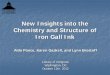 New Insights into the Chemistry and Structure of Iron Gall Ink · New Insights into the Chemistry and Structure of Iron Gall Ink Aldo Ponce, Karen Gaskell, and Lynn Brostoff ... Kazuo