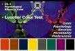 Luscher Color Test - sites. Ch04 Luscher_ ¢  Luscher Color Testing ¢â‚¬¢ Luscher recognized the
