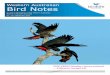 Western Australian Bird Notesbirdswa.com.au/WABN/WABN #151 2014 Sep.pdf · Members’ survey enclosed — $100 prize (see pp9-10). Page 2 Western Australian Bird Notes, No. 151 September