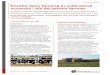 Queensland Feedlot dairy farming in subtropical Australia ...dairyinfo.biz/wp-content/uploads/2014/11/050M5_Feedlot.pdf · Feedlot dairy farming in subtropical Australia - the M5