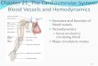 Chapter 21 The Cardiovascular System: Blood Vessels and … · 2011-09-01 · Anatomy of Blood Vessels Closed system of tubes that carries blood Arteries carry blood from heart to