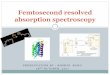 Femtosecond resolved absorption spectroscopycathale/lects/2011monsoon/bio322... · 2011-11-22 · - (Lecture notes) Basics of femtosecond laser spectroscopy, Mikhailovsky, UCSB -