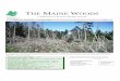 THE MAINE WOODS - Forest Ecology Network files/tmw_06_late_winter_2003.pdf · THE MAINE WOODS - Late Winter 2003 PAGE 1 THE MAINE WOODS “In wildness is the A Publication of the