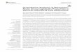 Quantitative Analysis of Repertoire-Scale Immunoglobulin ...Stronsky SM, Lee DW, Benko JG, Wallqvist A, Bavari S and Cooper CL (2017) Quantitative Analysis of Repertoire-Scale Immunoglobulin