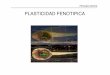 PLASTICIDAD FENOTIPICA - UGRjmgreyes/PRESENTACIONES_PPT/08Plasticidad.pdfAquella Plasticidad fenotípica mantenida por selección natural Phenotypic plasticity Requisitos para que