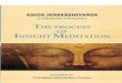 OF InsightMeditation - â€¢ Seven stages of purification along with the thirteen stages of vipassana