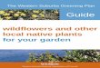 wildflowers and other local native plants for your garden Plants.pdf · shrubs and trees for your garden you can provide food and shelter for native birds, butterflies and other animals