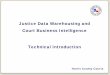 Justice Data Warehousing and Court Business Intelligence ...ccl.hctx.net/criminal/examine/DataWarehouse Orientation.pdf · • These data structures are developed using a different