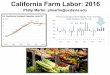California Farm Labor: 2016 · 2016-04-08 · Highlights • Hired workers do 90% of farm work in CA FVH commodities (fruits, veggies, & hort) • Most CA hired farm workers = Mexican-born