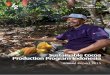 Sustainable Cocoa Production Program Indonesia · 2016-06-08 · livelihood by rehabilitating their farm through side/top-grafting or replanting old trees. ... related sample baseline