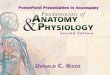 Delmar’s Fundamentals of Anatomy and Physiology, Second ... · By Donald C. Rizzo. Chapter 1 The Human Body ©2006 by Thomson Delmar Learning, a part of the Thomson ... – works