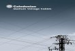 Company Profile - caledoniancable.comcaledoniancable.com/download/Medium Voltage Cables.pdfThe company offers an unrivalled experience and vast product range developed organically