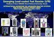 INTERNATIONAL WORKSHOP ON ADVANCED REACTOR … · 2017-04-12 · Emerging Lead-cooled Fast Reactor (LFR) Professor Il Soon HWANG (Seoul National University, Korea) INTERNATIONAL WORKSHOP