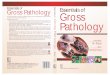 Essentials of Gross Pathology Gross - Main 2017-11-24آ  Gross Pathology Gross CBS Publishers & Distributors