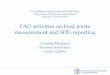 FAO activities on food waste measurement and SDG reporting · 31/03/2017  · FAO activities on food waste measurement and SDG reporting Camelia Bacatariu ... on Food Losses Agenda