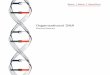 Organizational DNA · Table of Contents Introduction Organizational DNA Prescriptive Readings The Four Bases of Organizational DNA Page 5 When Everyone Agrees but Nothing Changes
