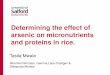 Determining the effect of arsenic on micronutrients and ... · Determining the effect of arsenic on micronutrients and proteins in rice. Tasila Mwale Niroshini Nirmalan, Gemma Lace-Costigan