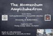 The Momentum Amplituhedron...The Momentum Amplituhedron Livia Ferro Ludwig-Maximilians-Universität München & University of Hertfordshire Amplitudes 2019 Trinity College Dublin, 04.07.2019