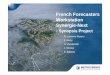 French Forecasters Workstation Synergie-Next ... French Forecasters Workstation Synergie-Next -Synopsis