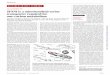 CELL METABOLISM SFXN1 is a mitochondrial serine transporter … · RESEARCH ARTICLE SUMMARY CELL METABOLISM SFXN1 is a mitochondrial serine transporter required for one-carbon metabolism