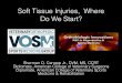 Soft Tissue Injuries, Where Do We Start? · Soft Tissue Injuries, Where Do We Start? Sherman O. Canapp Jr., DVM, MS, CCRT Diplomate, American College of Veterinary Surgeons ... as