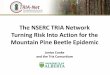 The NSERC TRIA Network Turning Risk Into Action for the ...The NSERC TRIA Network Turning Risk Into Action for the Mountain Pine Beetle Epidemic Janice Cooke and the Tria Consortium