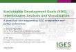 Sustainable Development Goals (SDG) Interlinkages …...IGES is now developing a comprehensive flagship publication with the results of the application of the methodology on various