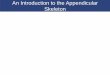 An Introduction to the Appendicular An Introduction to the Appendicular Skeleton The Appendicular Skeleton