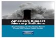 America's Biggest Mercury Polluters · • This amount is significant because mercury is so potent. Distributed over a wide area, just fractions of an ounce of mercury can contaminate