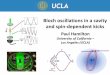 Bloch oscillations in a cavity and spin-dependent kicks · Bloch oscillations in a cavity and spin-dependent kicks Paul Hamilton University of California – Los Angeles (UCLA) T