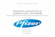 ISSUES LIFECYCLE ANALYSIS: PFIZER · Pfizer Incorporated is an international pharmaceutical company who distributes their healthcare products to almost every country in the world,