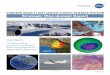 Strategic Plan / Annual Report - NASA · GSFC’s Support of National Needs for Earth System Science 6 ... (AETD) through the formation of joint teams to develop new technologies