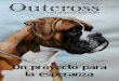 Outcross · 2016-04-27 · Nace Outcross Boxer Project de la mano de un grupo de criadores que comparten las mismas preocupaciones con el objetivo de abrir un periodo de reflexión