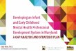 Developing an Infant and Early Childhood Mental Health Professional … · Developing an Infant and Early Childhood Mental Health Professional Development System in Maryland: A GAP