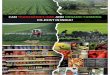 CAN TRANSGENICS (GM) AND ORGANIC FARMINGindiagminfo.org/wp-content/uploads/2011/09/GM-and... · CAN TRANSGENICS (GM) AND ORGANIC FARMING CO-EXIST IN INDIA? Published in Public Interest