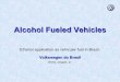 Alcohol Fuel ed - Asia-Pacific Economic Cooperation · Lambda Sensor working range; Any component in polyamide 6.6 (Nylon) that has contact with the fuel must be substituted by other
