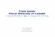Field Guide Floral Diversity of Ladakh آ¾-hأگGأ-أأ›-آ¯أ› ... Field Guide Floral Diversity of Ladakh