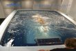 ENDLESS POOL ELITE.… · Introducing the Endless Pool Elite,a counter-current swimming machine that will revolutionizes swim instruction. The Elite offers coaches a unique and unprecedented
