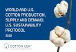 WORLD AND U.S. COTTON PRODUCTION, SUPPLY AND DEMAND, … Powell.pdf · SUPPLY AND DEMAND, U.S. SUSTAINABILITY PROTOCOL 2019 1. U.S. COTTON ORGANIZATIONS EXPLAINED 2 COTTON INCORPORATED