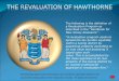 THE REVALUATION OF HAWTHORNE · The following is the definition of a Revaluation Program as described in the “Handbook for New Jersey Assessors” : “A revaluation program seeks