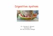 a35 digestive system (2) 35... · Digestive systemDigestive system Dr. Carmen E. Rexach Anatomy 35 Mt San Antonio College. Components • Oral cavity • Alimentary Canal • Accessory