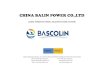 CHINA BALIN POWER CO.,LTD1).pdf · global pioneer of overall solution in diesel systems plunger a768 ad 131153-8920 zexel plunger a770 ad 131153-9120 zexel plunger a771 ad 131153-9220