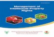 Management of Intellectual Property Rights English-3.pdf · related rights covering artistic and literary works, performances, broadcasts and others (Sui generis) which include those