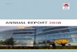 ANNUAL REPORT 2018 - Small Arms Annual Report 2018 7 From the director of the Small Arms Survey For