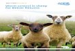 Worm control in sheep for Better Returns · Careful understanding of the risks from contaminated pasture and strategies to use cleaner grazing. ... times to inform the ongoing contamination