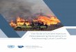 The Role of United Nations Peacekeeping …...address local conflicts. Collaboration between units in most missions remains largely ad hoc, and without clear objectives, monitoring