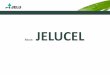 JELU-WERK Josef Ehrler GmbH & Co. KG Natural fibres. Simple …3.imimg.com/data3/UM/FO/MY-1120799/cl_salasarfibres.pdf · 2015-07-30 · Functionality Function in Food Products Function