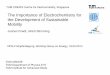 The Importance of Electrochemistry for the …...TUM CREATE TUM Department of Physics E19 TUM Institute for Advanced Study DPG-Frühjahrstagung, Working Group on Energy, 18.03.2014